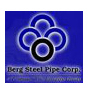 Логотип Berg Steel Pipe